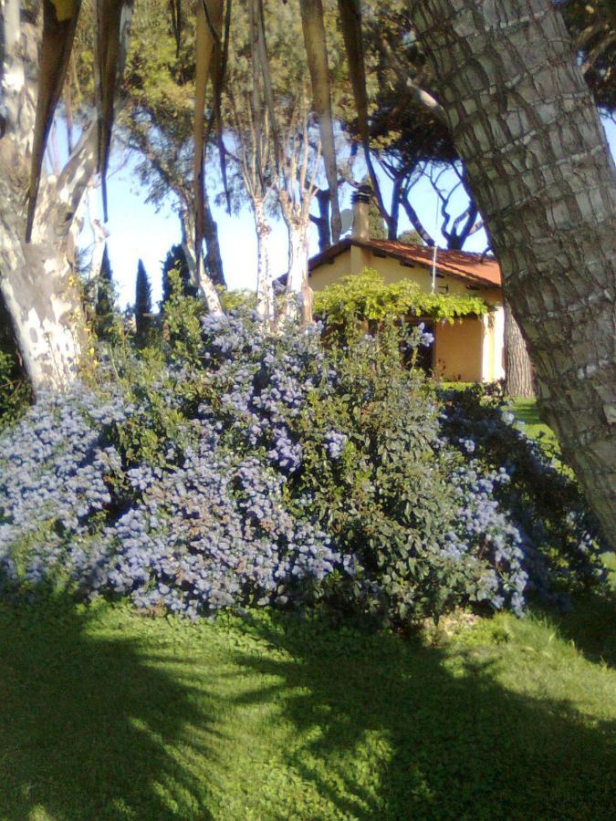 Casa Vacanze Vigna Di Valle Bracciano  Exterior foto