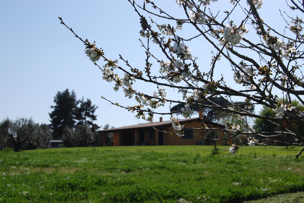 Casa Vacanze Vigna Di Valle Bracciano  Zimmer foto