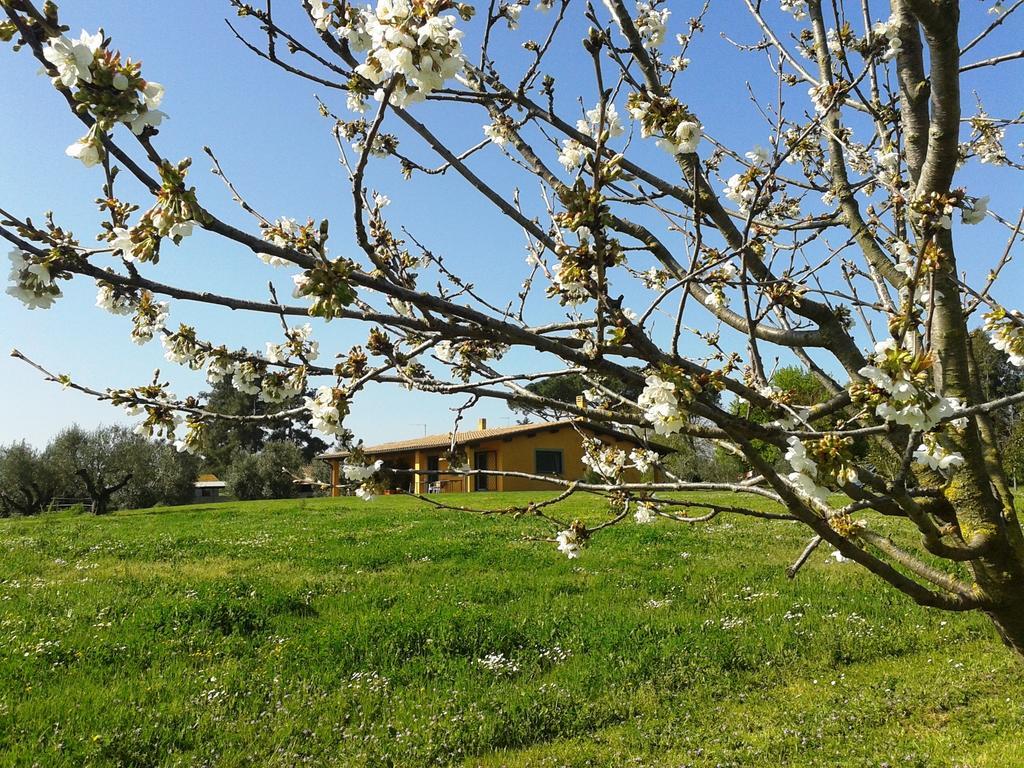 Casa Vacanze Vigna Di Valle Bracciano  Exterior foto