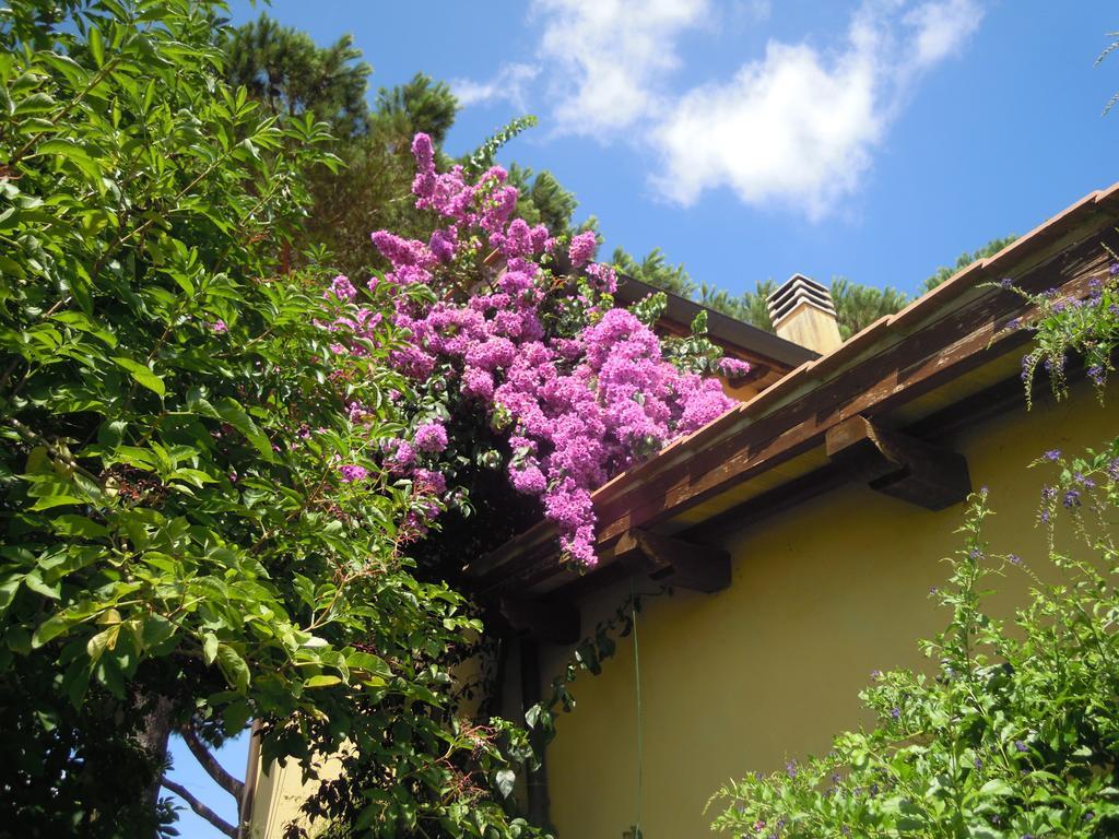 Casa Vacanze Vigna Di Valle Bracciano  Zimmer foto