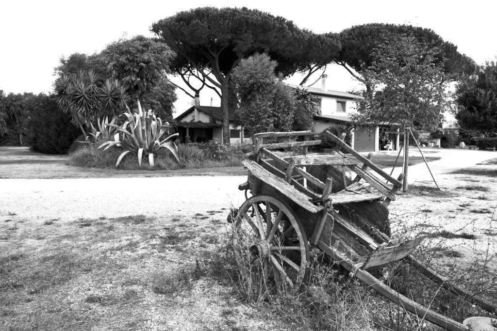 Casa Vacanze Vigna Di Valle Bracciano  Exterior foto